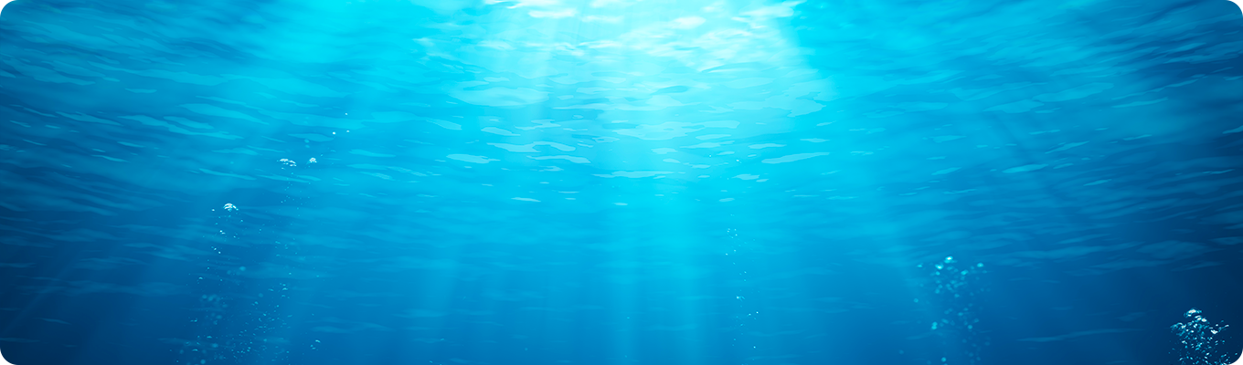 Underwater Scene With Bubbles And Sunbeams